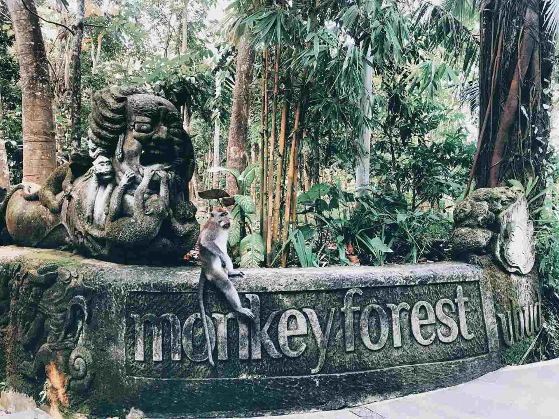 Kaamala Luxury Resort & Spa Ubud By Ini Vie Hospitality Екстер'єр фото